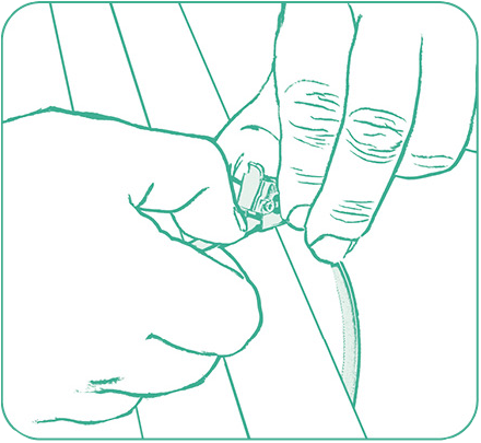 Introducir la punta de la abrazadera en el cabezal, con la pestaña totalmente elevada.